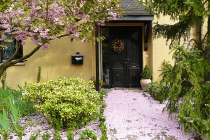 Drzwi wejściowe - jak wybrać odpowiednie do swojego domu?