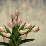 Giełda florystyczna - klucz do rozkwitu branży kwiatowej